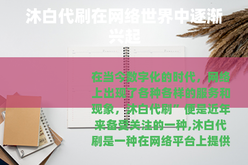 沐白代刷在网络世界中逐渐兴起