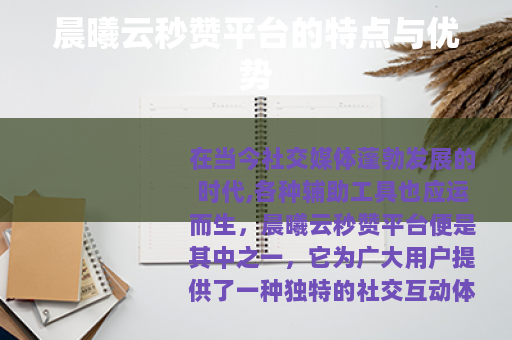 晨曦云秒赞平台的特点与优势