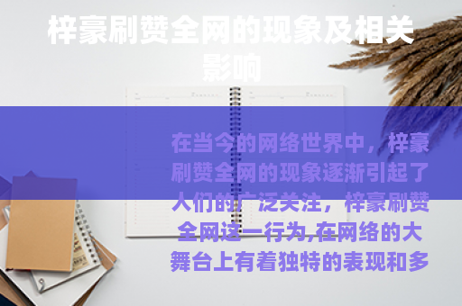梓豪刷赞全网的现象及相关影响