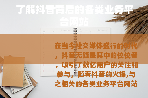 了解抖音背后的各类业务平台网站