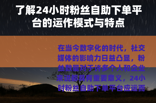了解24小时粉丝自助下单平台的运作模式与特点