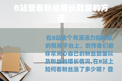 B站查看粉丝增长数量的方法