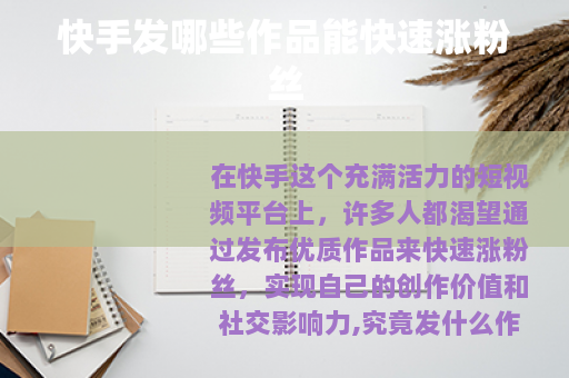 快手发哪些作品能快速涨粉丝