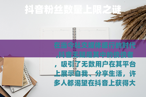 抖音粉丝数量上限之谜