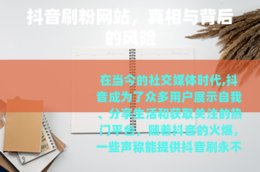 抖音刷粉网站,真相与背后的风险