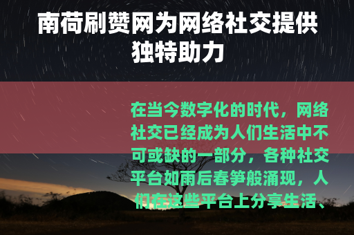 南荷刷赞网为网络社交提供独特助力