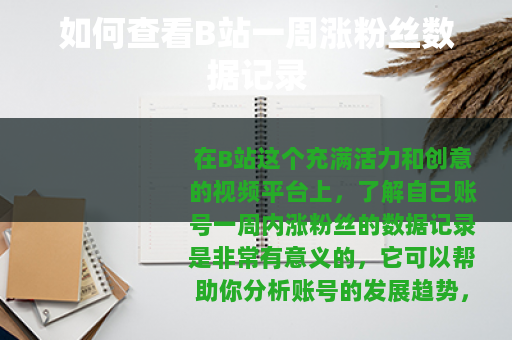 如何查看B站一周涨粉丝数据记录