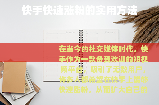 快手快速涨粉的实用方法