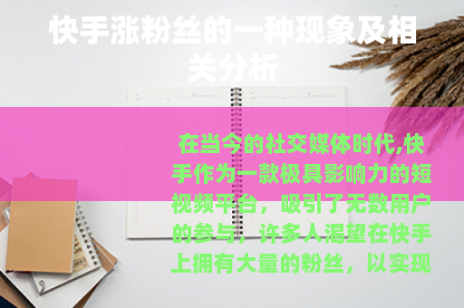 快手涨粉丝的一种现象及相关分析