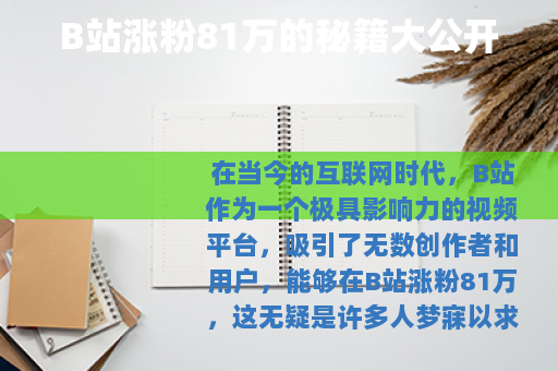 B站涨粉81万的秘籍大公开