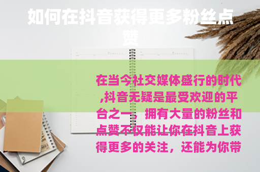 如何在抖音获得更多粉丝点赞
