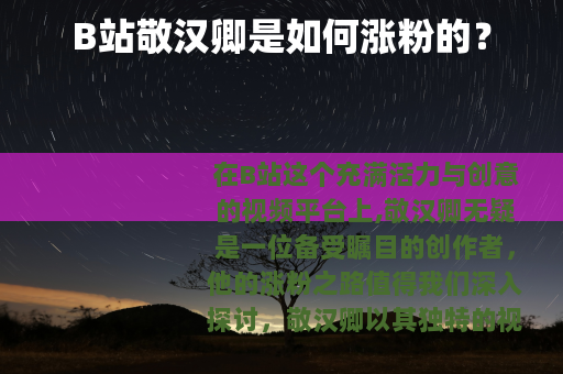 B站敬汉卿是如何涨粉的？