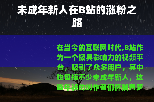 未成年新人在B站的涨粉之路