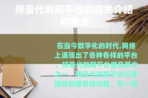 梓豪代刷网平台的相关介绍与特点