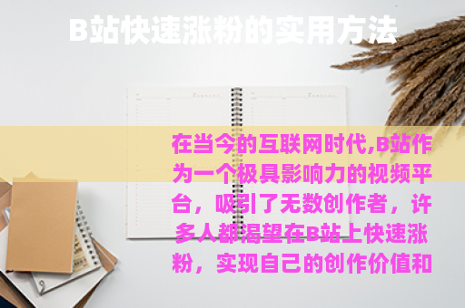 B站快速涨粉的实用方法
