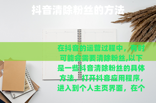抖音清除粉丝的方法