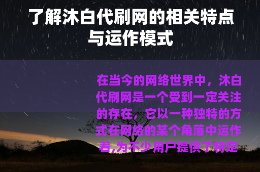 了解沐白代刷网的相关特点与运作模式