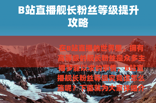 B站直播舰长粉丝等级提升攻略