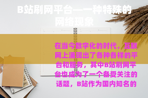 B站刷网平台—一种特殊的网络现象