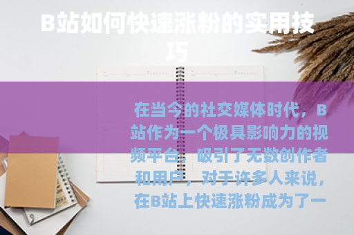 B站如何快速涨粉的实用技巧 B站如何快速涨粉的实用技巧