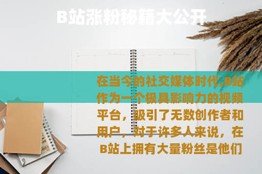 B站涨粉秘籍大公开