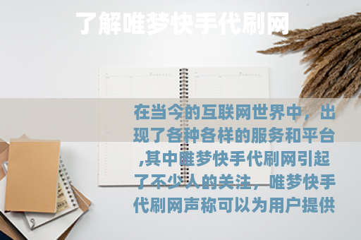 了解唯梦快手代刷网