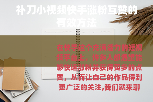 补刀小视频快手涨粉互赞的有效方法