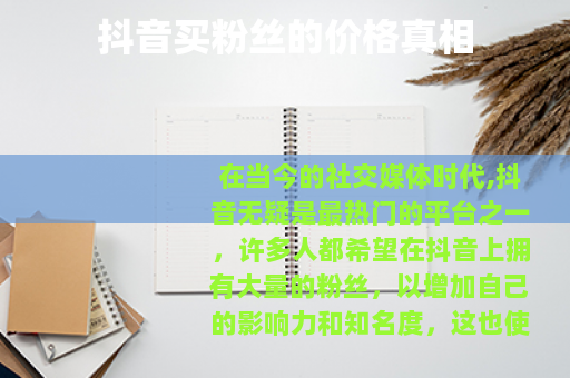 抖音买粉丝的价格真相