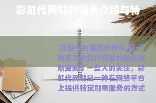 彩虹代网刷的相关介绍与特点