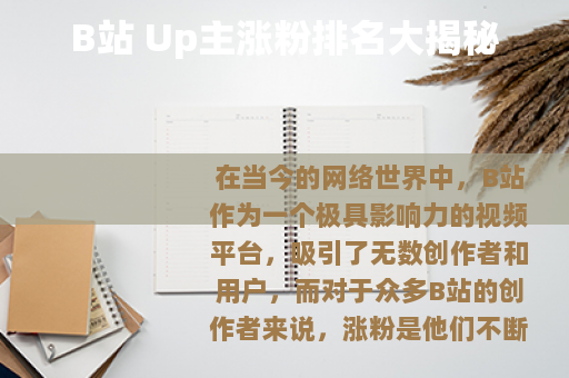 B站 Up主涨粉排名大揭秘