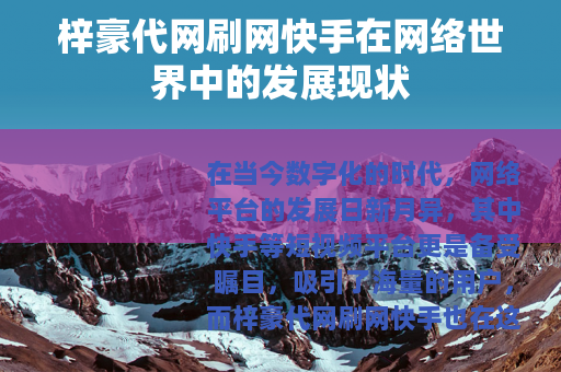 梓豪代网刷网快手在网络世界中的发展现状