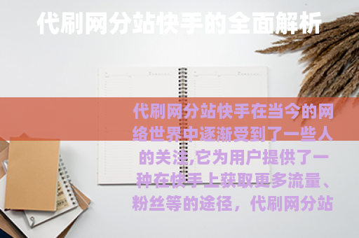 代刷网分站快手的全面解析