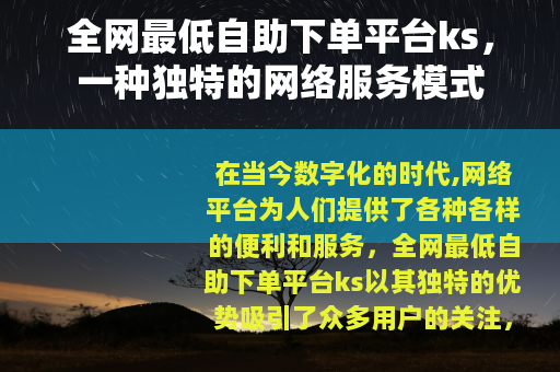 全网最低自助下单平台ks，一种独特的网络服务模式