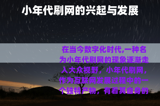 小年代刷网的兴起与发展