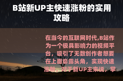 B站新UP主快速涨粉的实用攻略