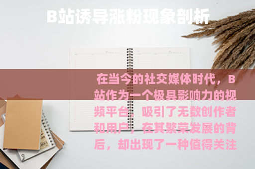 B站诱导涨粉现象剖析
