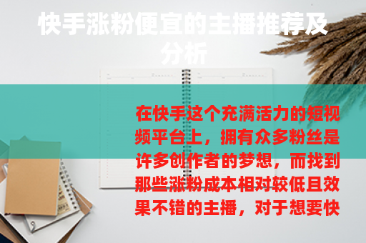 快手涨粉便宜的主播推荐及分析