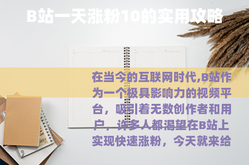 B站一天涨粉10的实用攻略