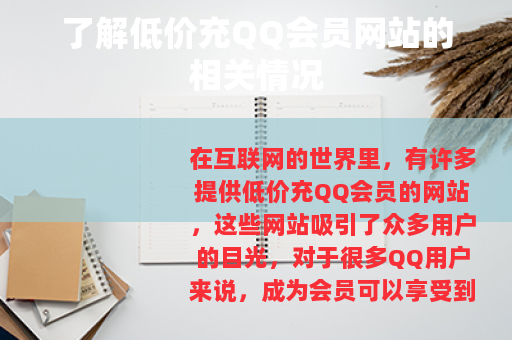 了解低价充QQ会员网站的相关情况