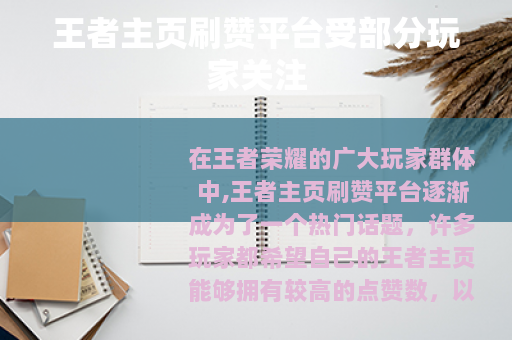 王者主页刷赞平台受部分玩家关注