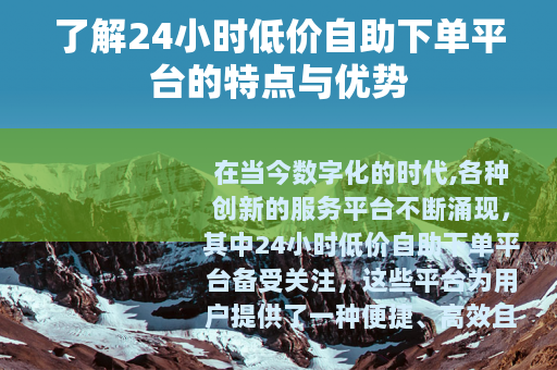 了解24小时低价自助下单平台的特点与优势