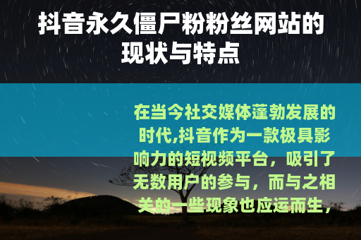 抖音永久僵尸粉粉丝网站的现状与特点