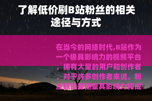 了解低价刷B站粉丝的相关途径与方式 了解低价刷B站粉丝的相关途径与方式