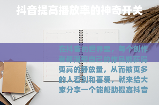 抖音提高播放率的神奇开关