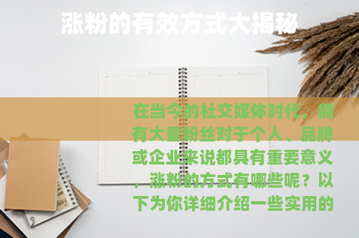 涨粉的有效方式大揭秘