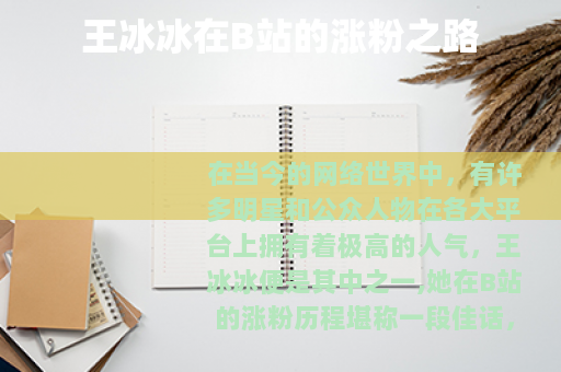 王冰冰在B站的涨粉之路