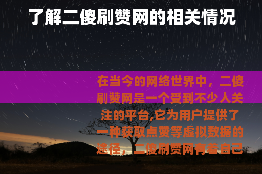 了解二傻刷赞网的相关情况