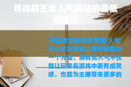 寻找刷王者人气网站的最低价途径