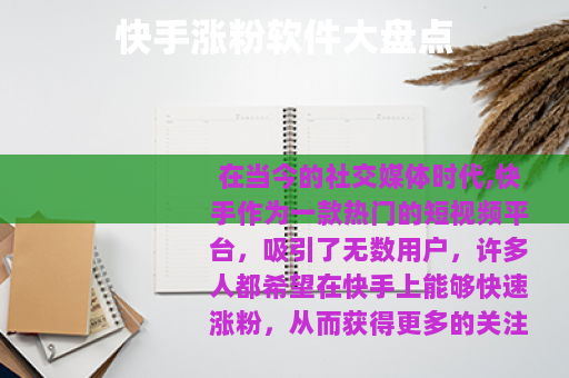 快手涨粉软件大盘点
