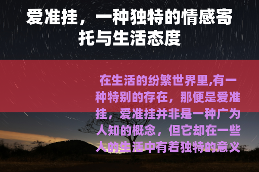 爱准挂，一种独特的情感寄托与生活态度